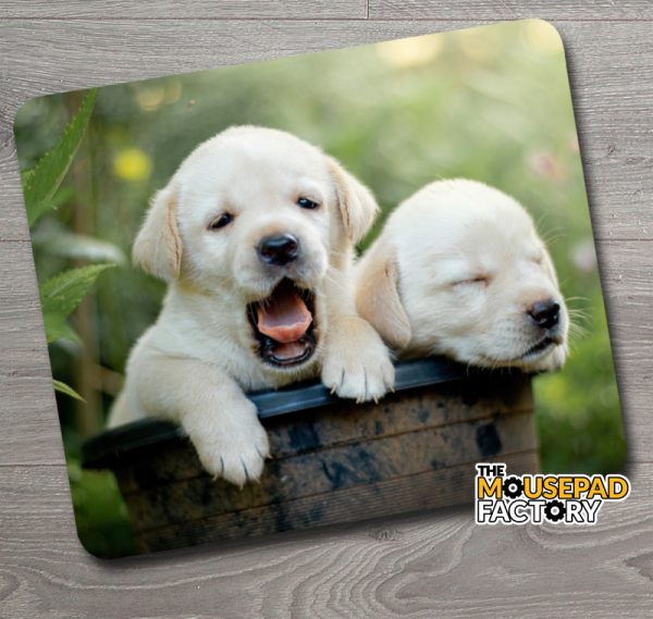 Golden Labrador Retriever Puppies Mouse Pad