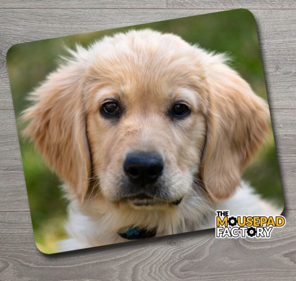 Golden Retriever Puppy Dog Mouse Pad