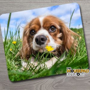 Cavalier King Charles Spaniel Dog Mouse Pad