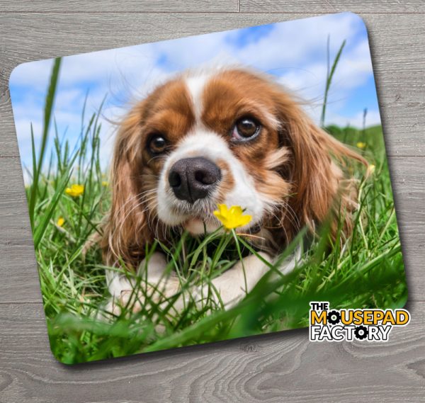 Cavalier King Charles Spaniel Dog Mouse Pad