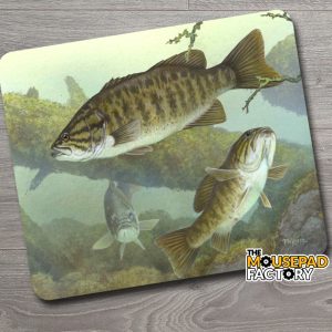 Smallmouth Bass Fishing