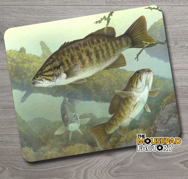 Smallmouth Bass Fishing