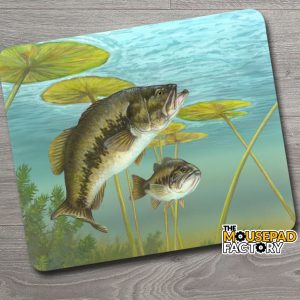 Largemouth Bass Fishing