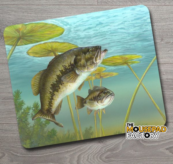Largemouth Bass Fishing