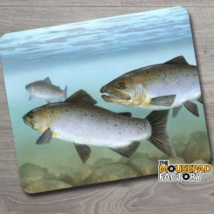 Atlantic Salmon