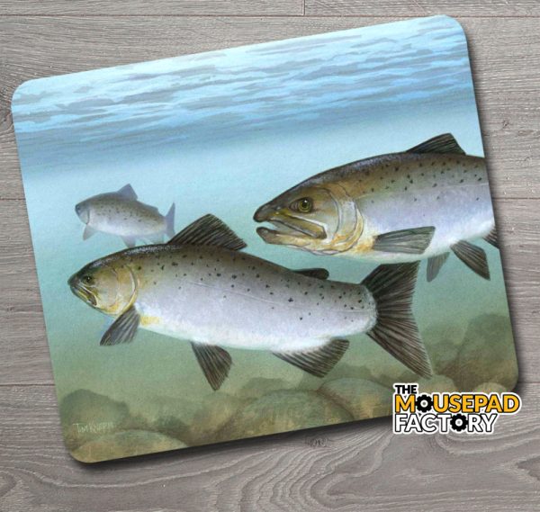 Atlantic Salmon