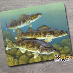 Walleye Pickerel Fishing