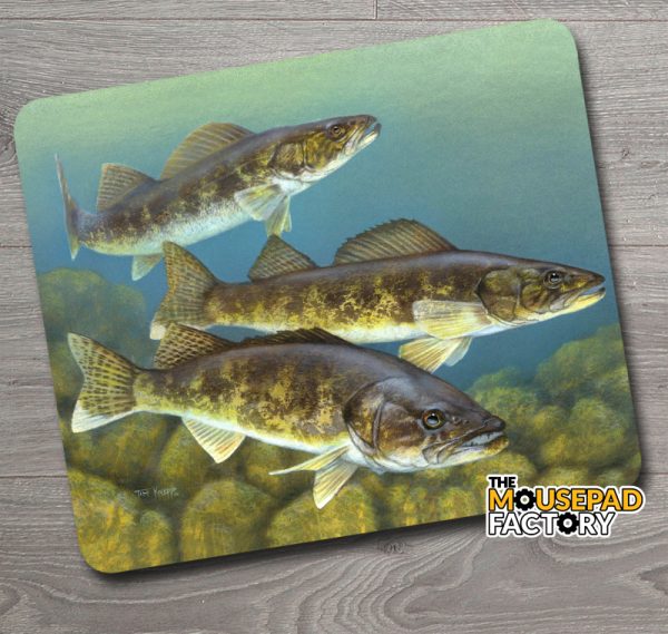 Walleye Pickerel Fishing