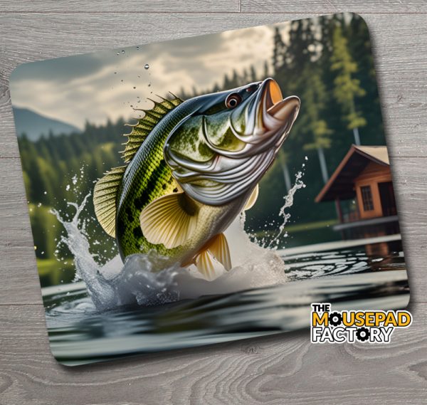 Largemouth Bass Fishing