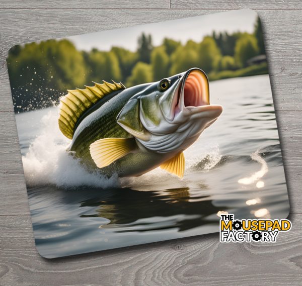 Largemouth Bass Fishing