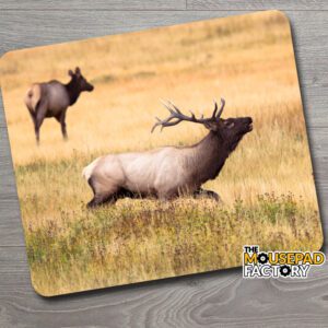 Bull Elk in Rut Mouse Pad
