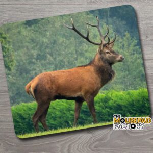 Bull Elk in Summer Mouse Pad