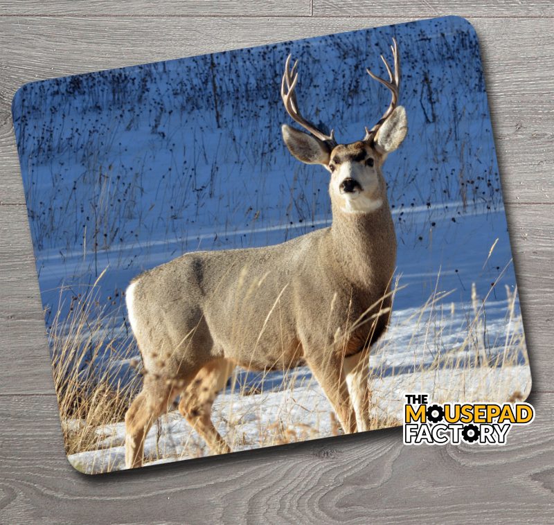 White-tailed Deer Buck Winter Mouse Pad