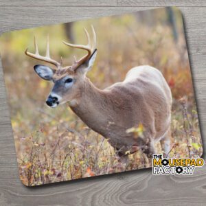 White-tailed Deer Young Stag Mouse Pad